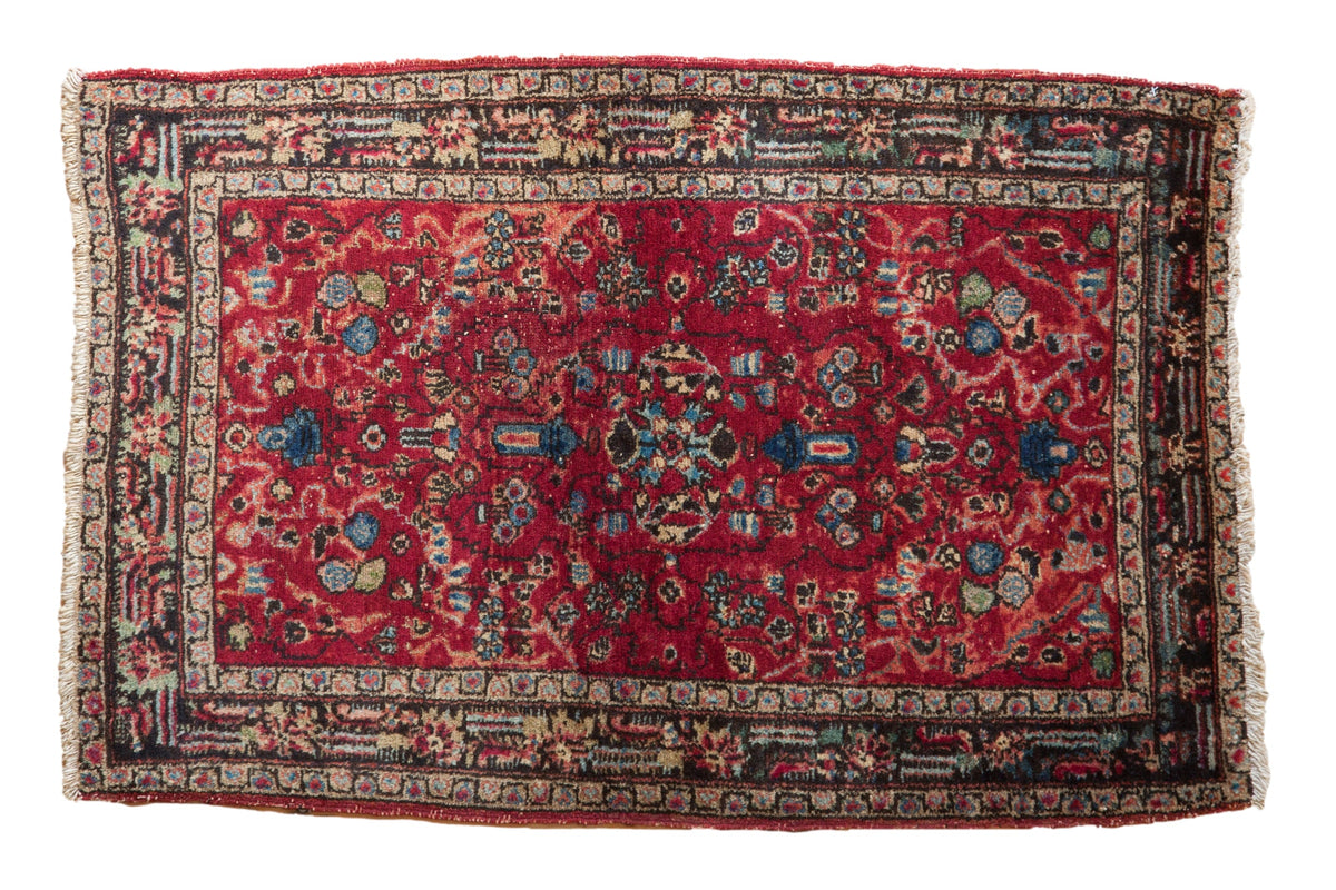 2.5x4 Vintage Lilihan Rug Mat by Old New House® - main product image for Resin Society