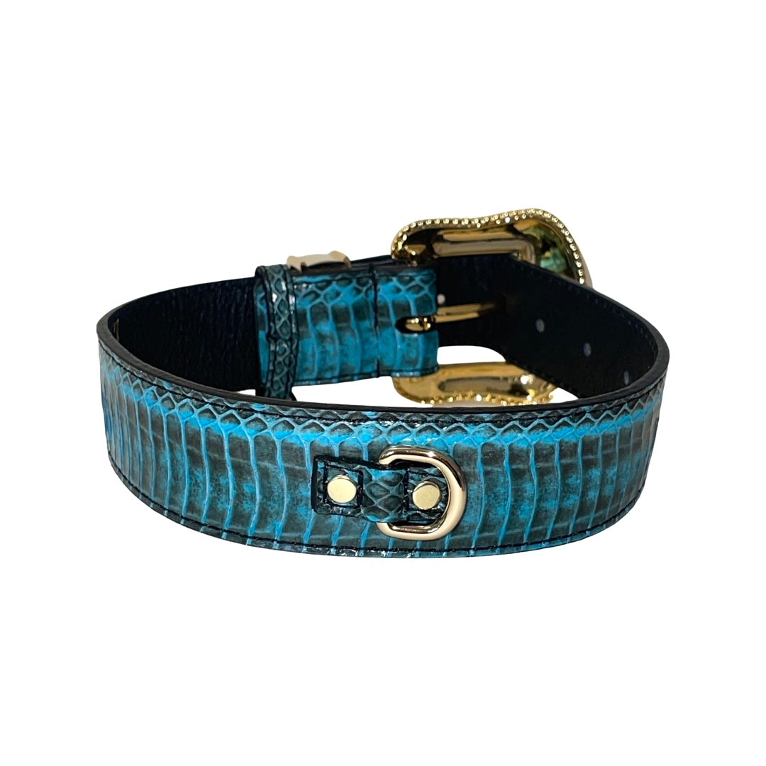 Turquoise and black snake-patterned collar featuring gold Swarovski crystal-embellished buckle and gold fastening hardware, shown on a white background.