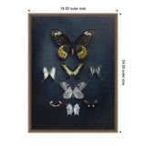 Nine diverse butterflies arranged in three vertical rows on a dark textured background inside a decorative bronze-colored frame with 18 by 24 inch outer dimensions.