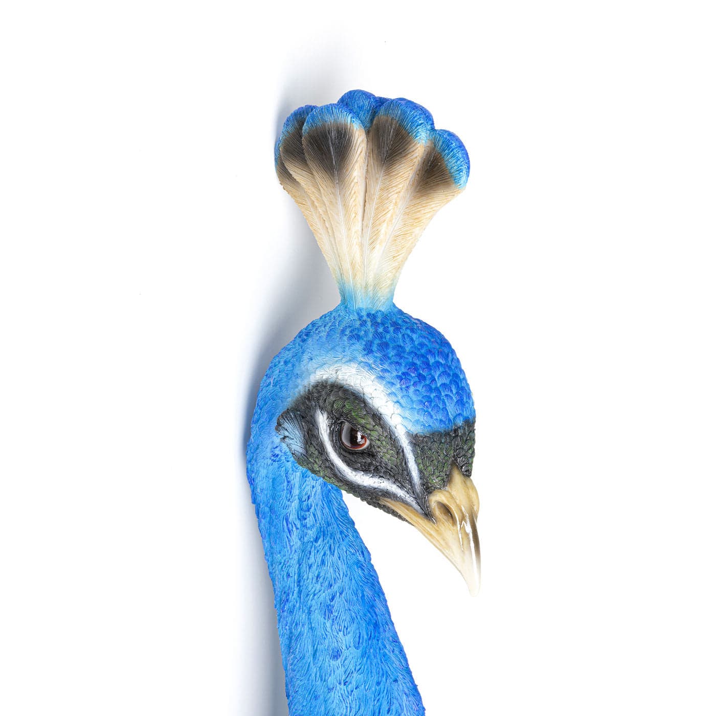 Wall Object Peacock