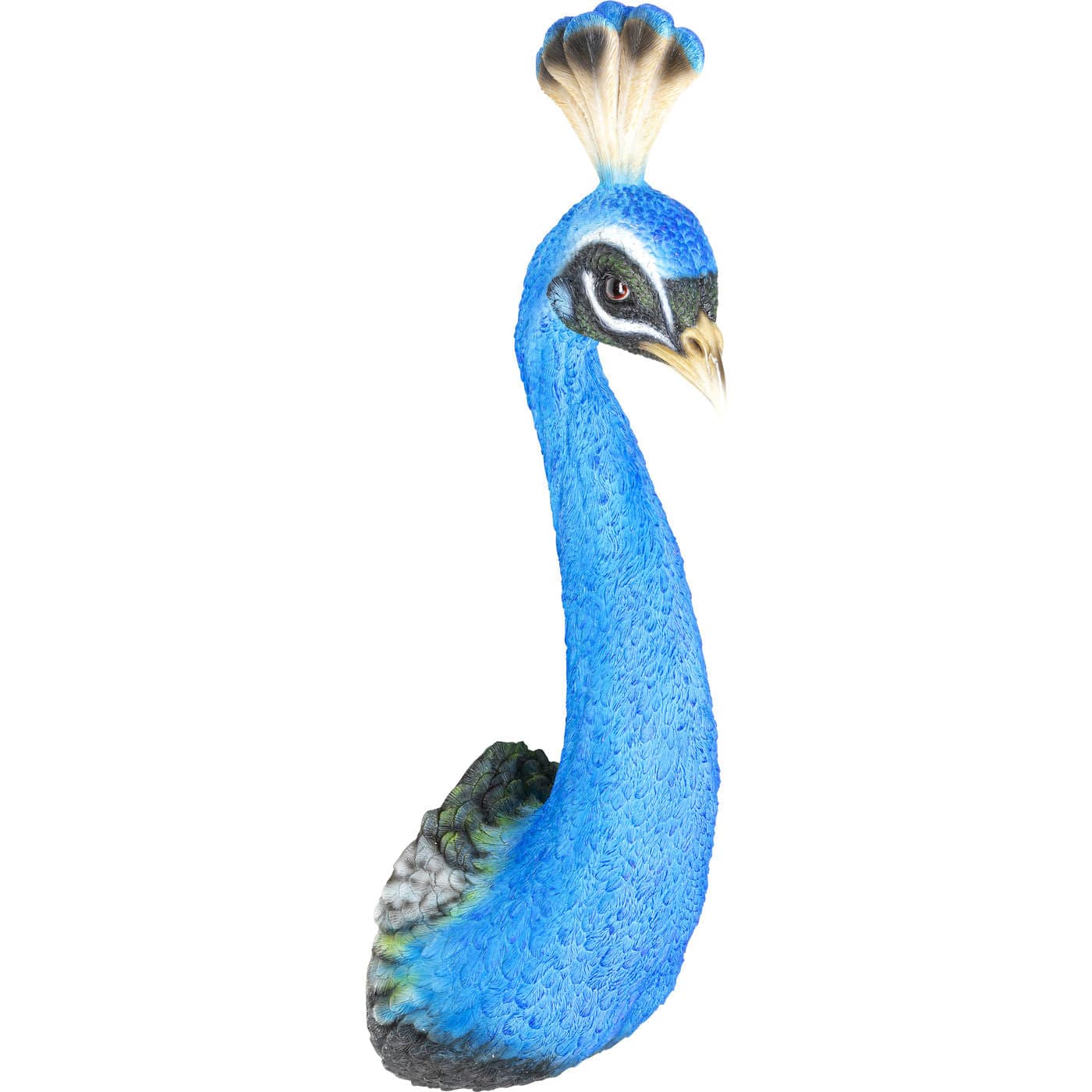Wall Object Peacock