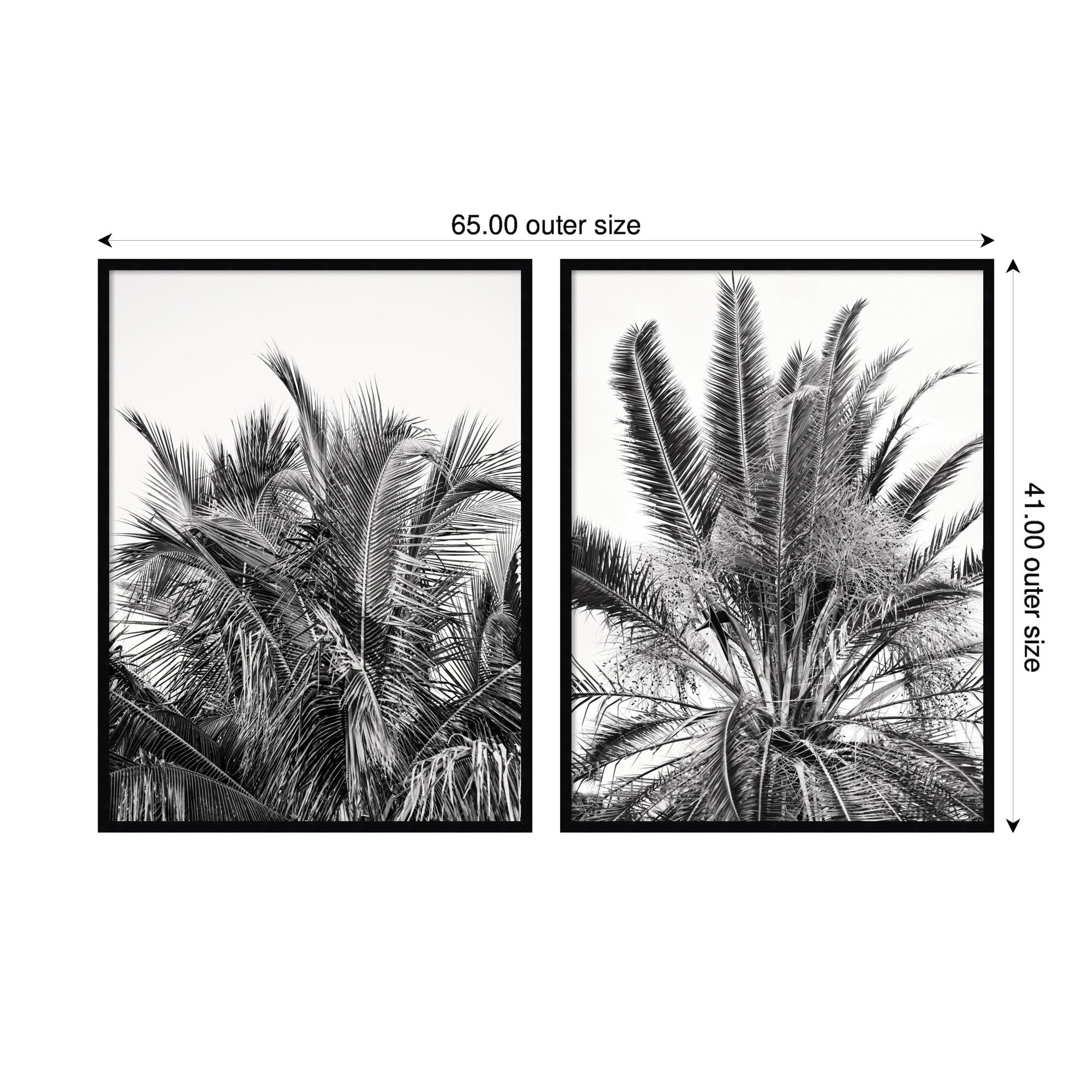 Palm No.
13 & 15 2 Piece Framed Wall Art Print Set by Alicia Bock