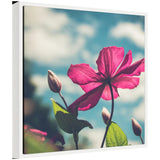 Sylvie Flower in the Sky framed canvas art showing a flower against a bright sky, framed in a modern lightweight polystyrene frame.