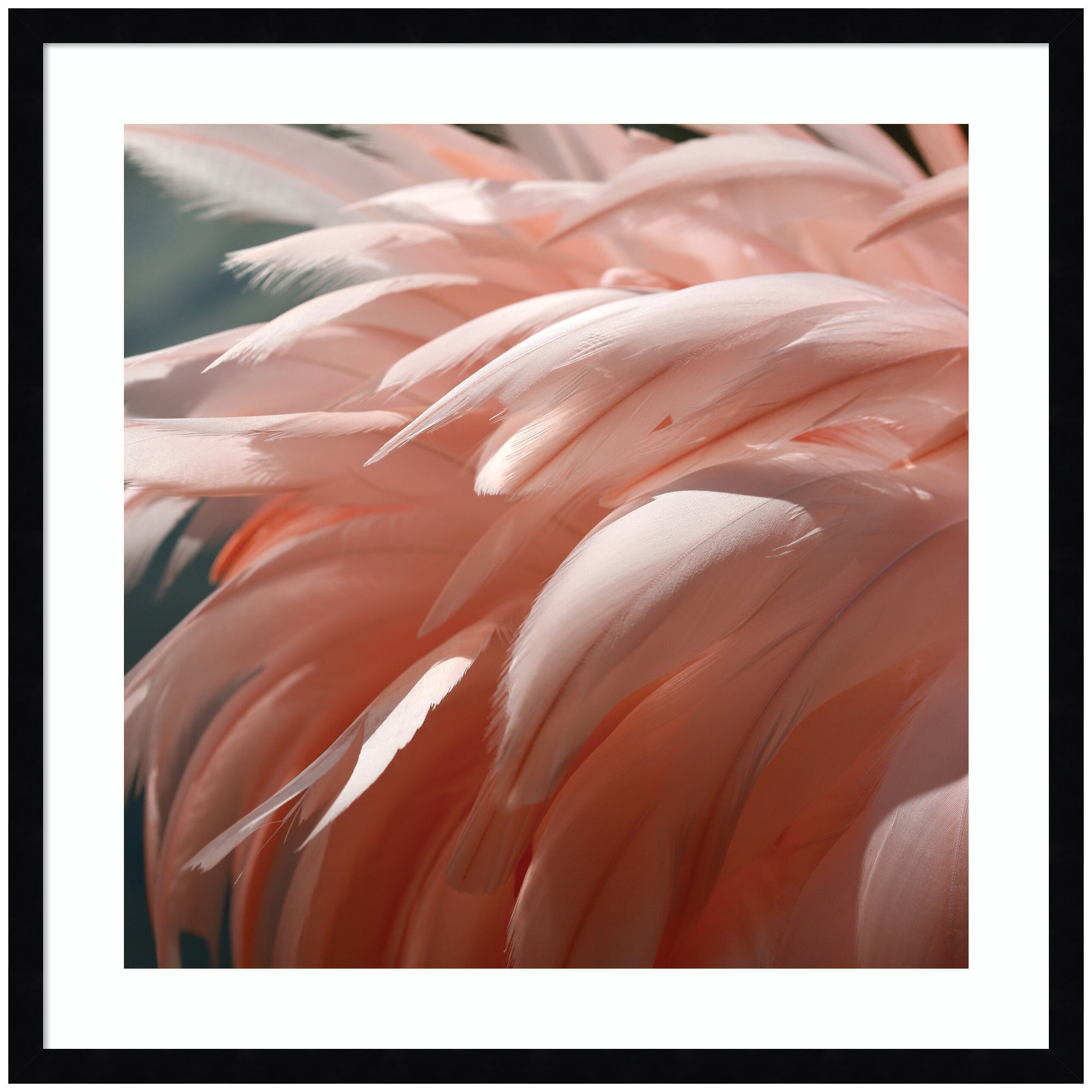 Framed wall art print titled Flamingo No.
1 by Alicia Bock, showing an elegant flamingo with a black frame