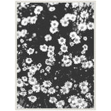 Black and white photograph of numerous daisy-like flowers clustered densely, framed with a decorative white border.