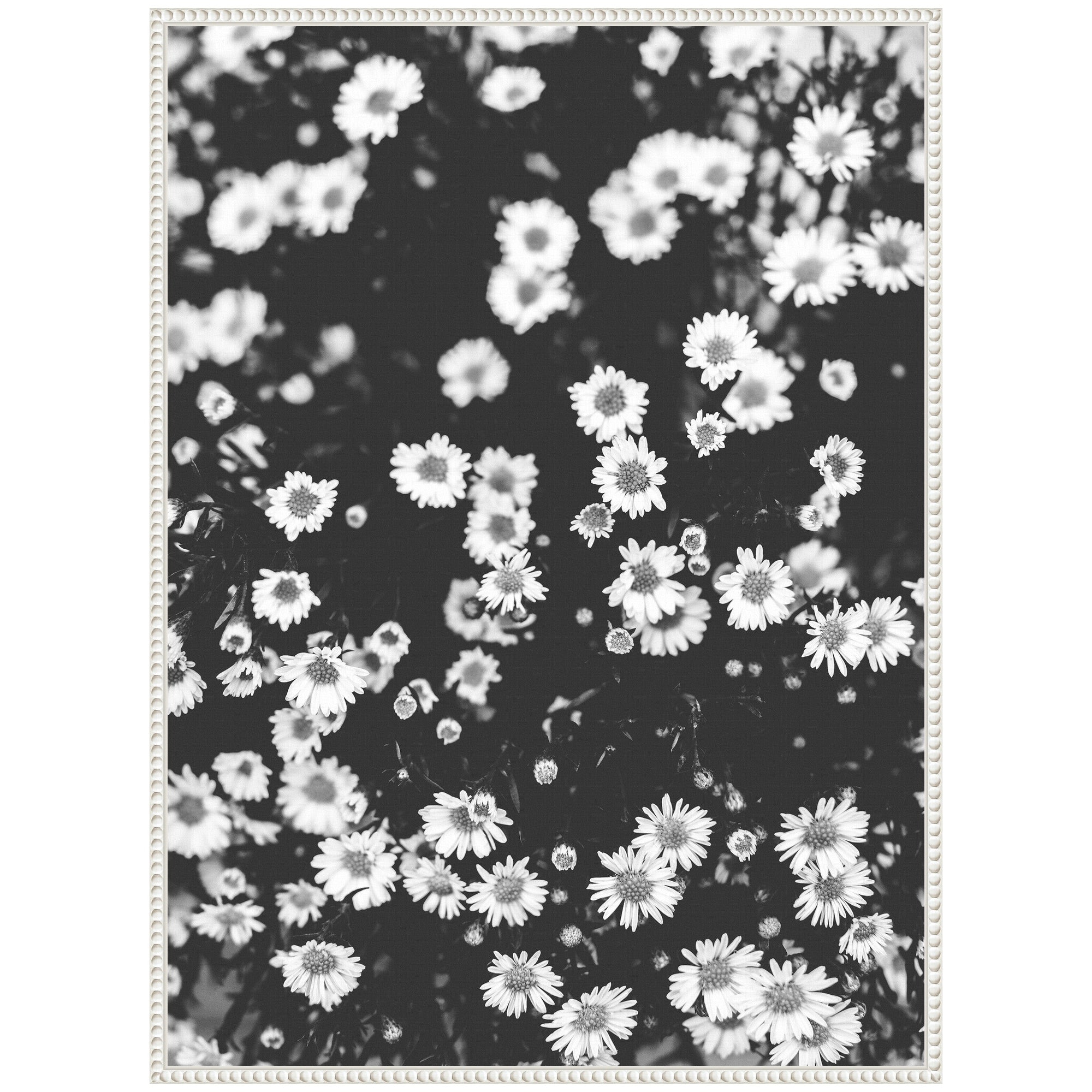 Sylvie Chamomile Framed Canvas by Alicia Abla