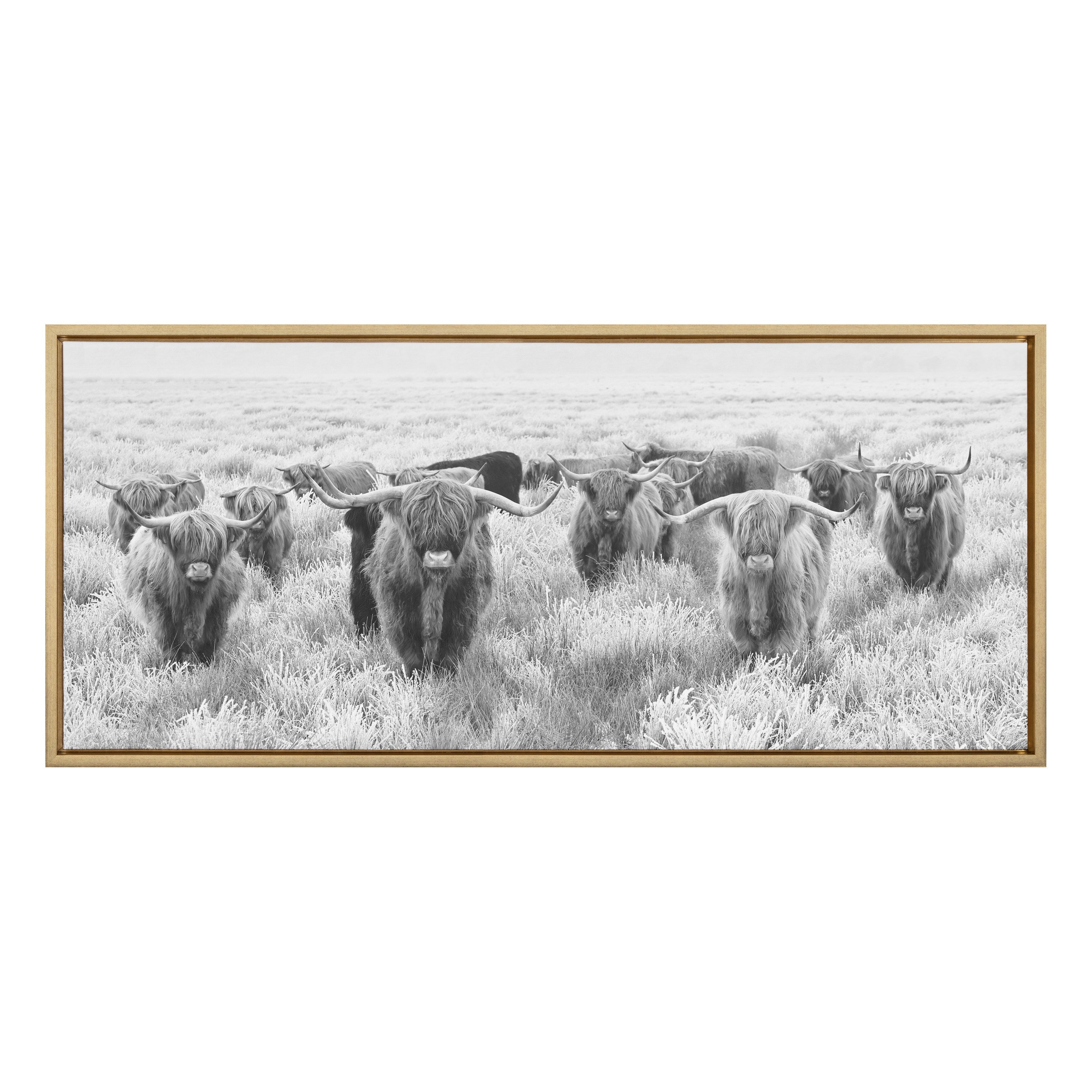 Sylvie Herd of Highland Cows Black and White Framed Canvas by The