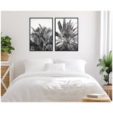 Two black and white framed prints of palm leaves hung side by side above a white bed with plush pillows, flanked by green plants on woven baskets.