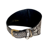 4-inch wide collar with white and black snake skin pattern, featuring a gold-tone buckle and black inner lining, curved to show the front and side.