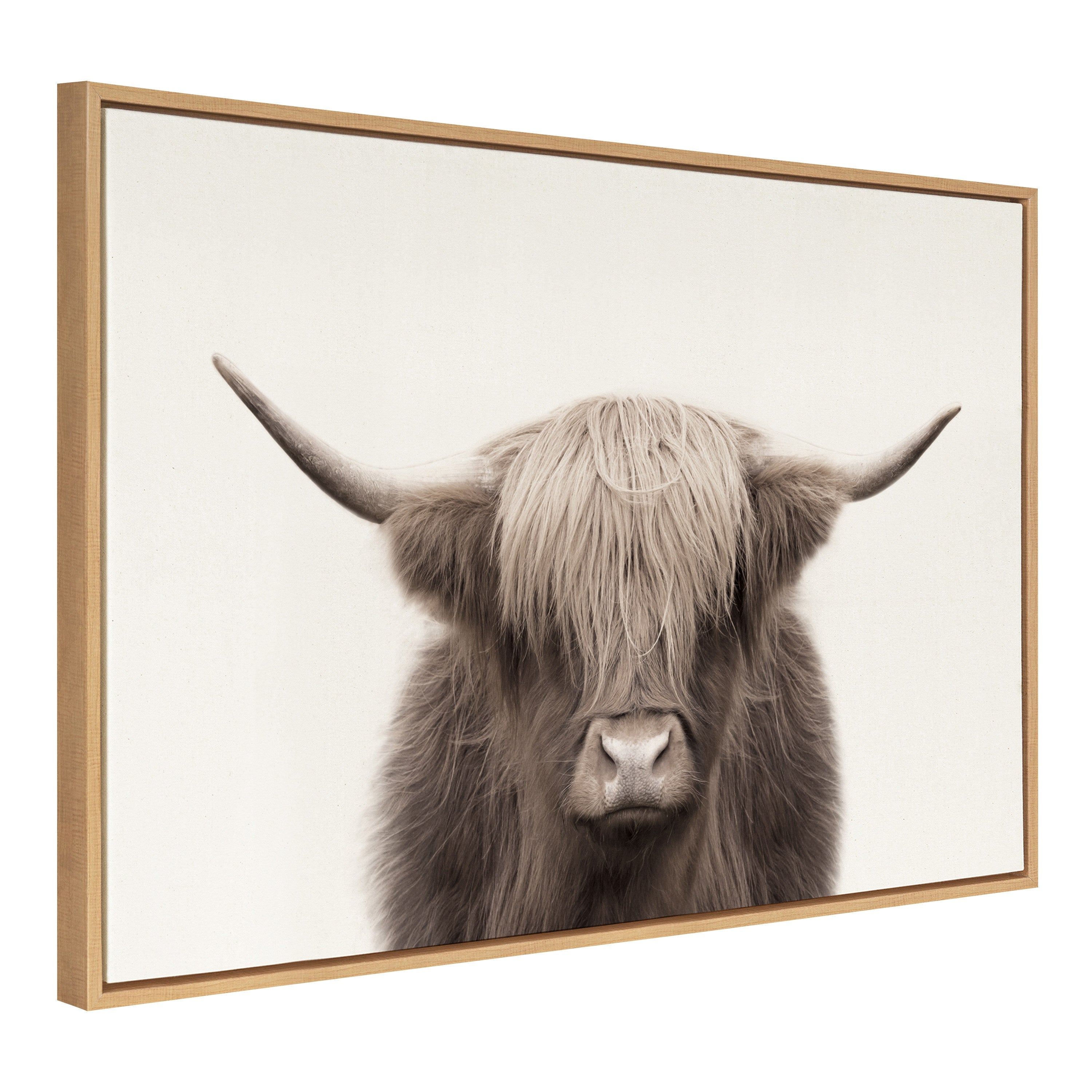 Sylvie Hey Dude Highland Cow Color Framed Canvas by The Creative Bunch
