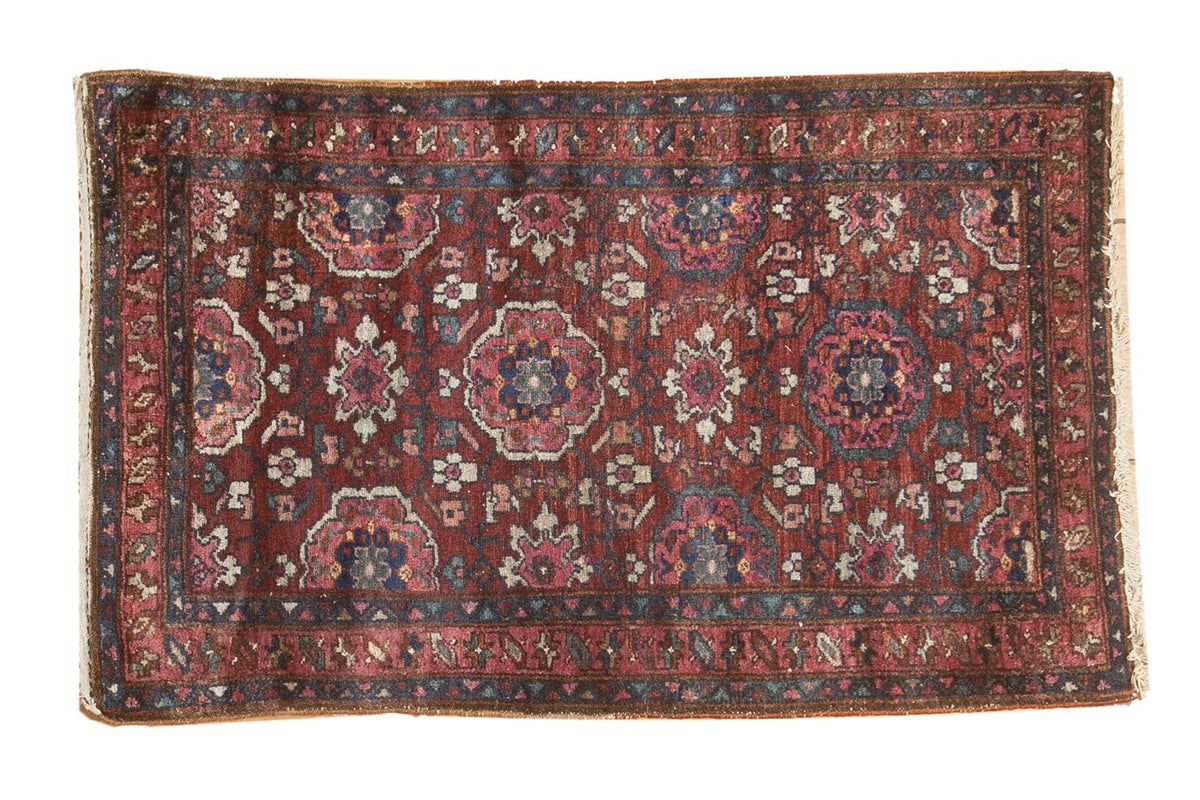 2.5x4 Vintage Lilihan Rug by Old New House® - main product image for Resin Society