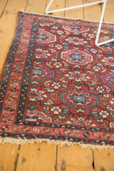 2.5x4 Vintage Lilihan Rug by Old New House® - product image 7 for Resin Society