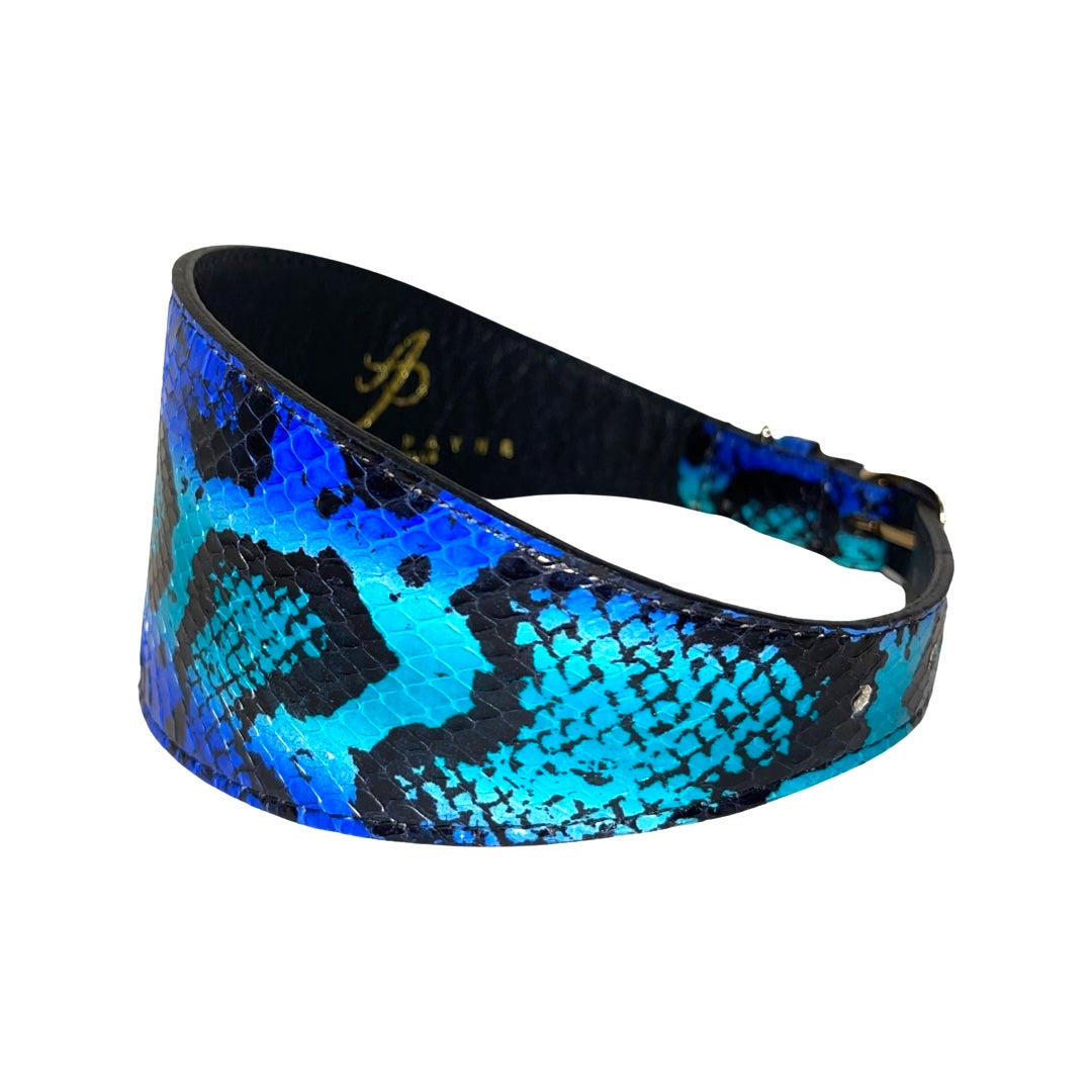 Curved 3-inch wide collar featuring electric turquoise and black snakeskin pattern with a textured surface and black lining inside.
