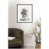 Black and white framed vintage tree study hanging on a white wall above an olive green armchair and next to a tall leafy plant in a woven basket.