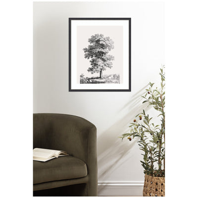 Framed Art Jean Victor Bertin Study of a Tree 1816