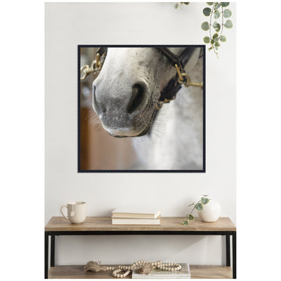Barn Day Horse by Emiko and Mark Franzen F2 Images Framed Canvas Wall Art Print