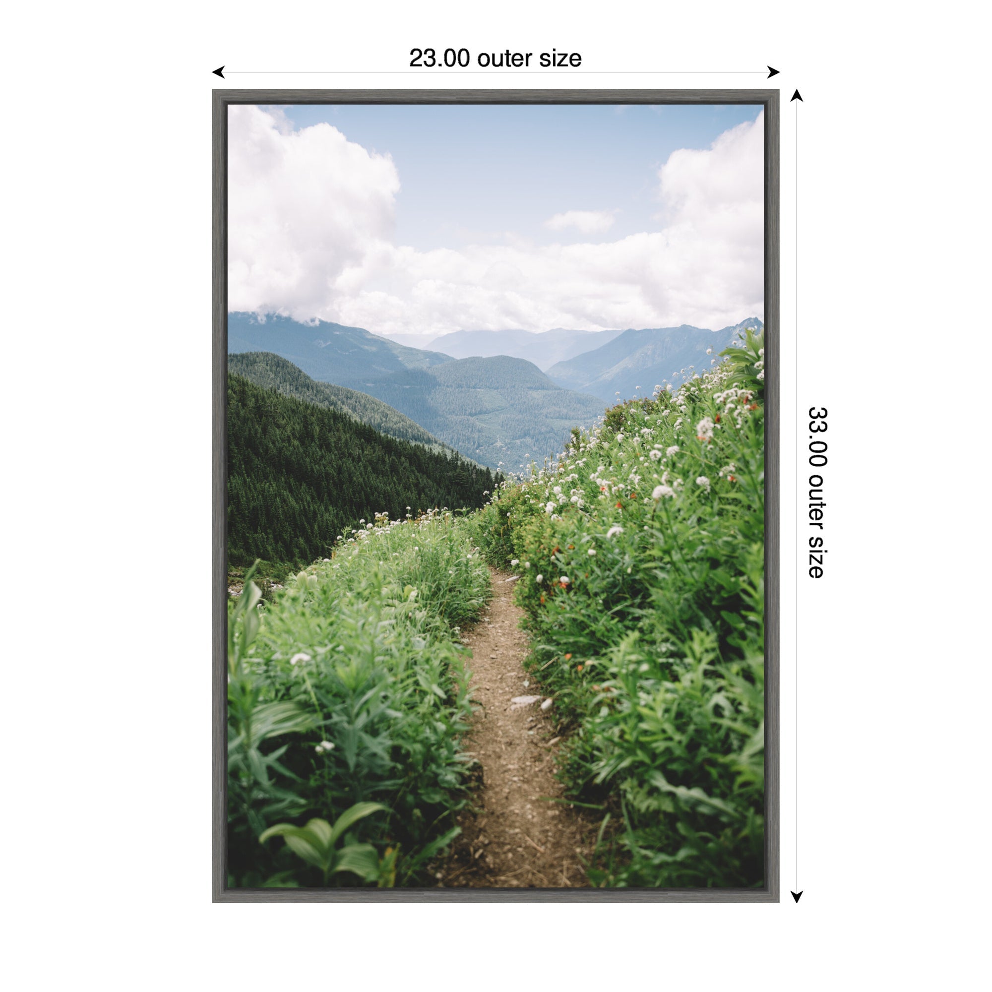 Sylvie Mountain Trail Scenic Landscape Framed Canvas by Patricia Hasz