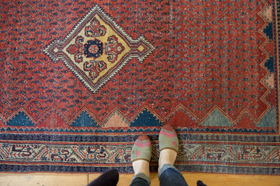 4x7 Vintage Serbend Rug by Old New House® - product image 2 for Resin Society