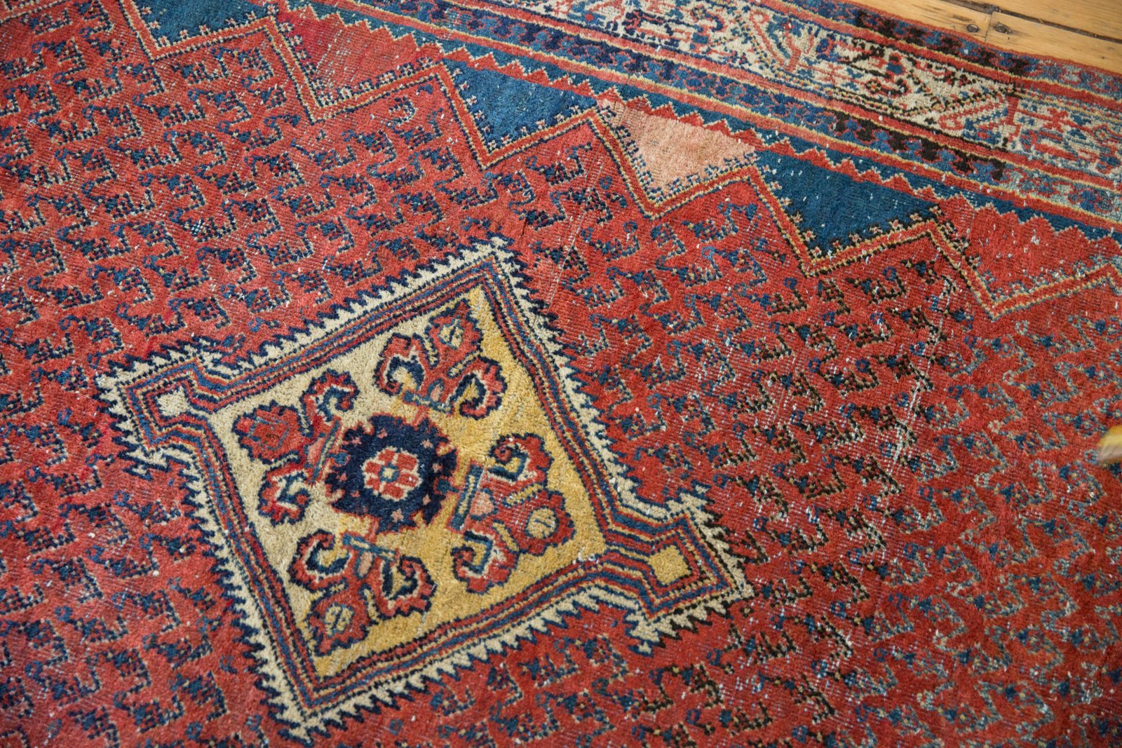 4x7 Vintage Serbend Rug by Old New House® - product image 3 for Resin Society