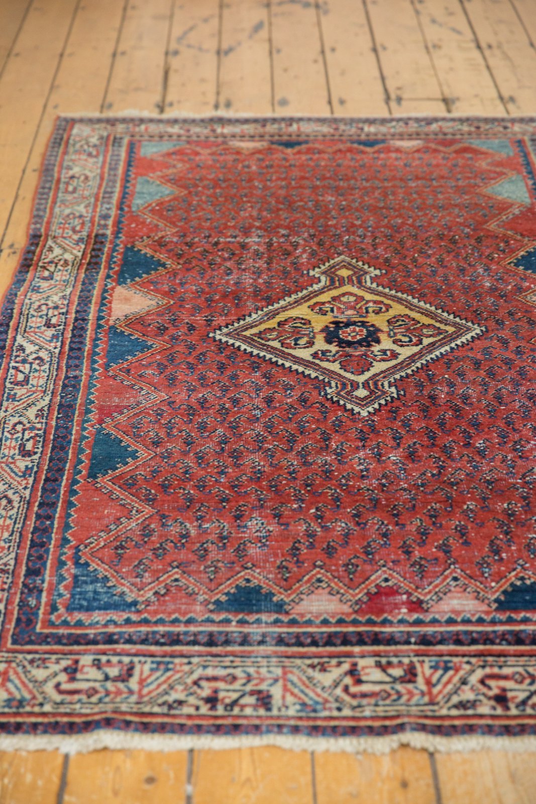 4x7 Vintage Serbend Rug by Old New House® - product image 5 for Resin Society
