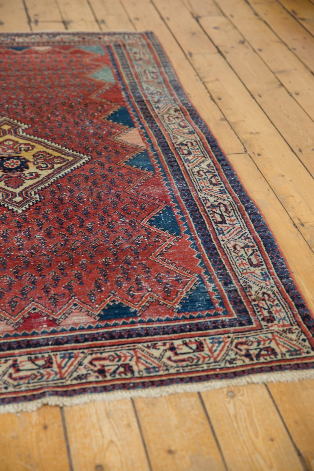 4x7 Vintage Serbend Rug by Old New House® - product image 6 for Resin Society