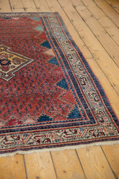 4x7 Vintage Serbend Rug by Old New House® - product image 6 for Resin Society