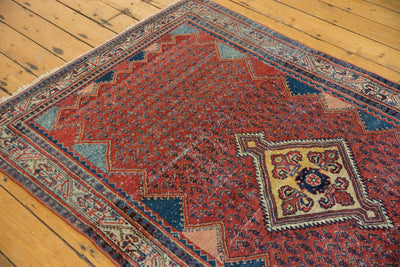 4x7 Vintage Serbend Rug by Old New House® - product image 7 for Resin Society