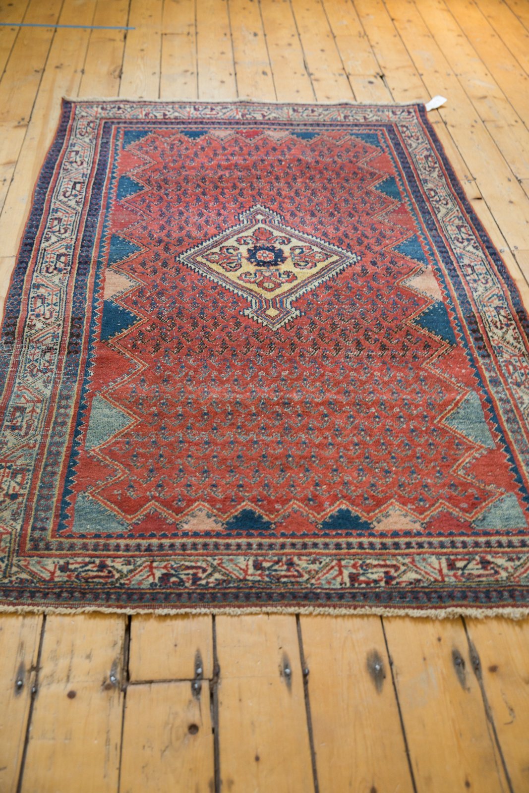 4x7 Vintage Serbend Rug by Old New House® - product image 9 for Resin Society