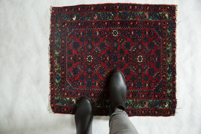 2x2.5 Antique Fine Hamadan Square Rug Mat by Old New House® - product image 2 for Resin Society