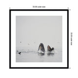 Framed photographic art print showing two humpback whales surfacing with partially open mouths amidst calm gray ocean water and flying seabirds in a muted sky.