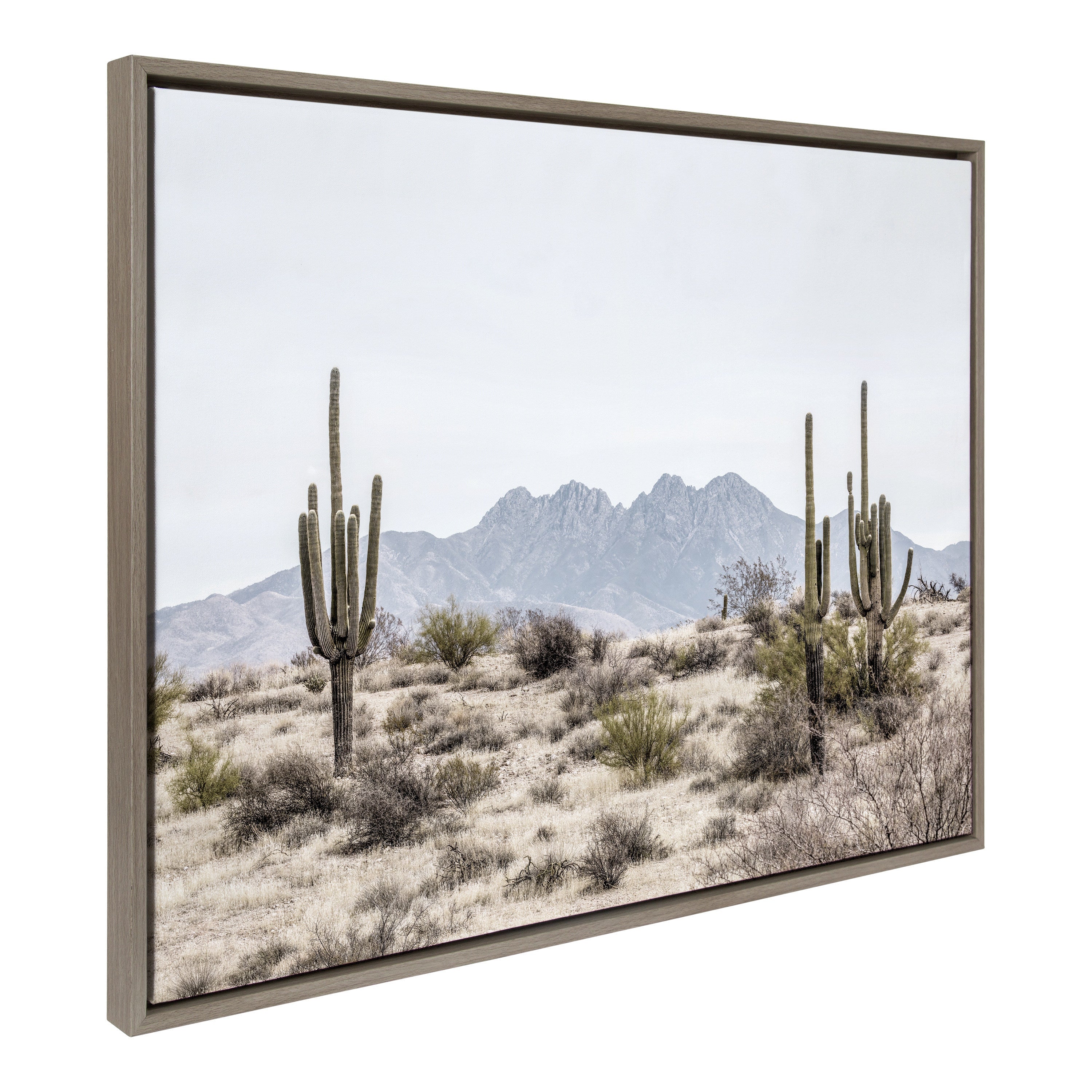Sylvie Tall Saguaro Cacti Desert Mountain Framed Canvas by kateandlaurel - product image 16 for Resin Society