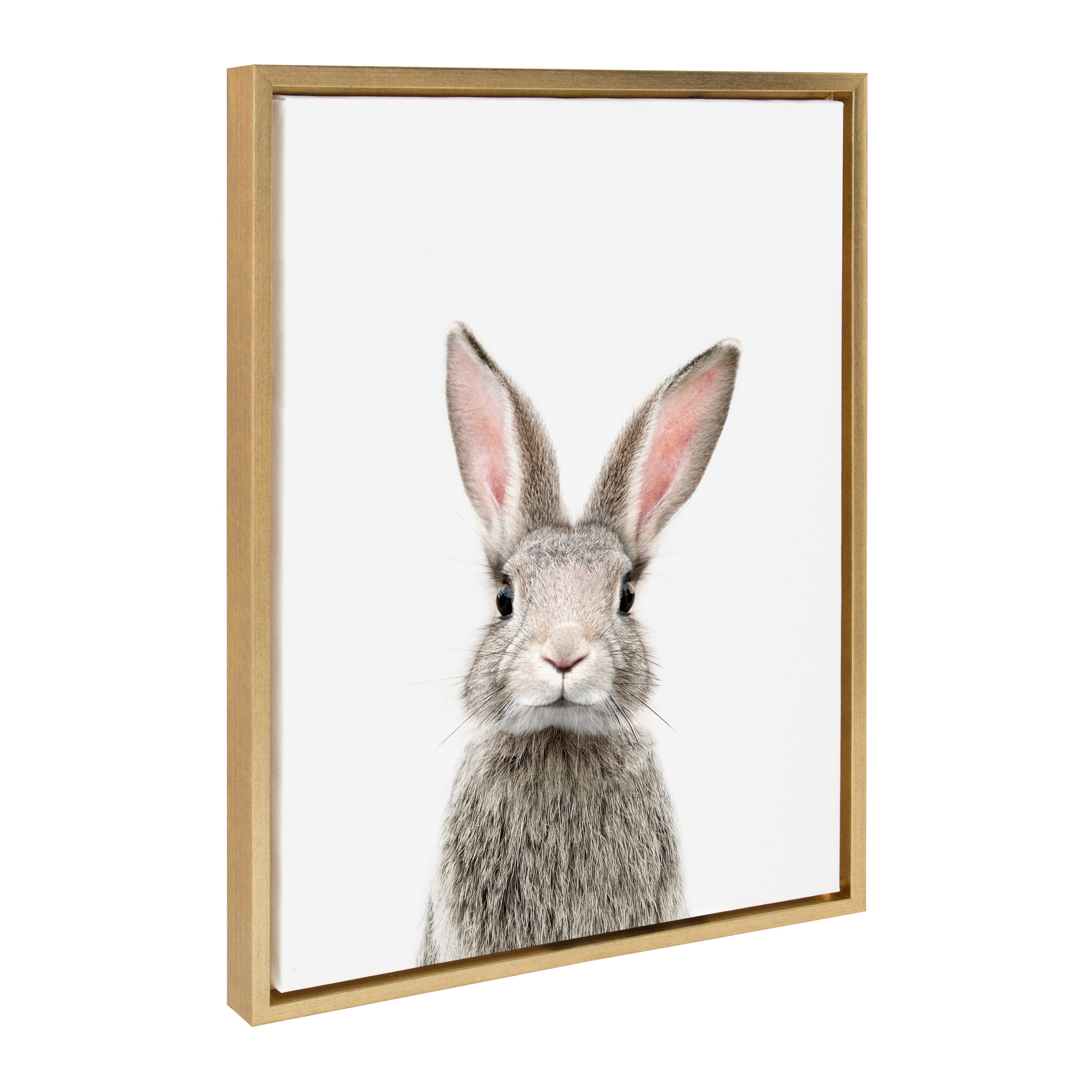 Sylvie Young Rabbit Framed Canvas by Amy Peterson Art Studio