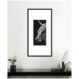 Black and white close-up portrait of a Highland cow with long hair and a single visible horn, framed in black and hung on a white wall above a black table.