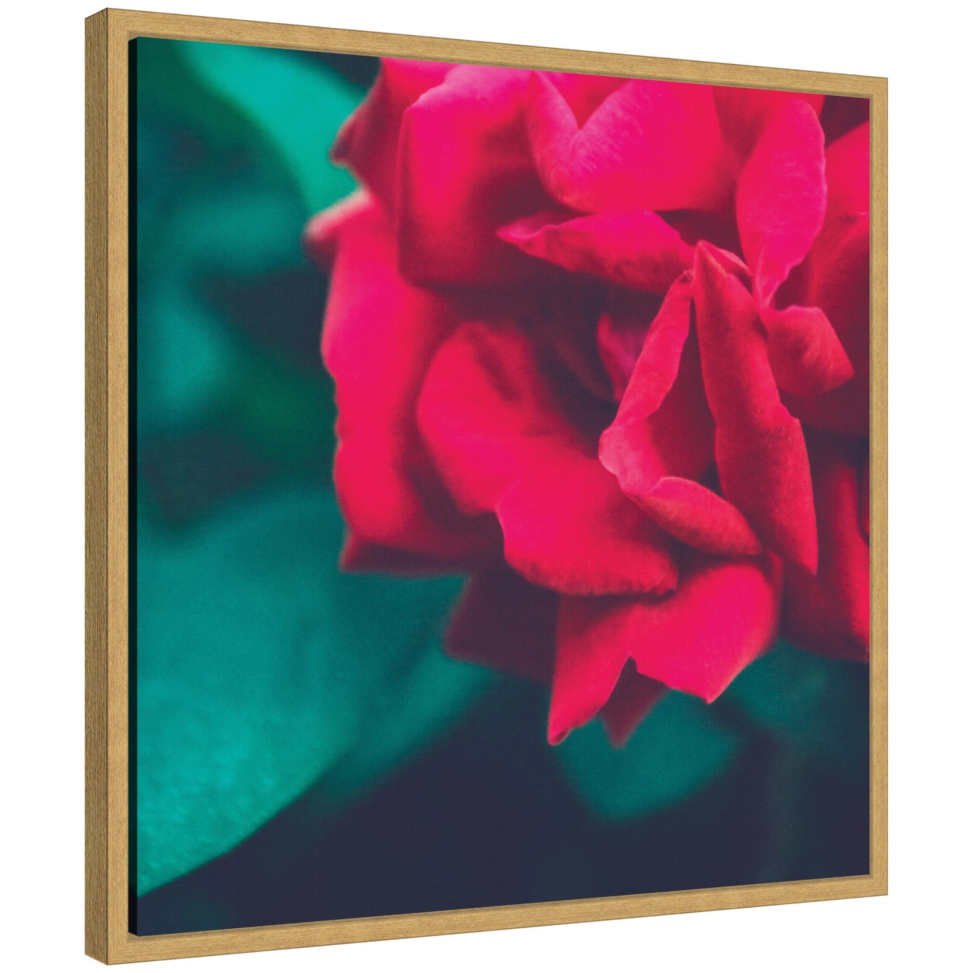 Sylvie Red Velvet Garden Rose floral framed canvas art by Stephanie Klatt