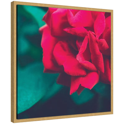 Sylvie Red Velvet Garden Rose floral framed canvas art by Stephanie Klatt