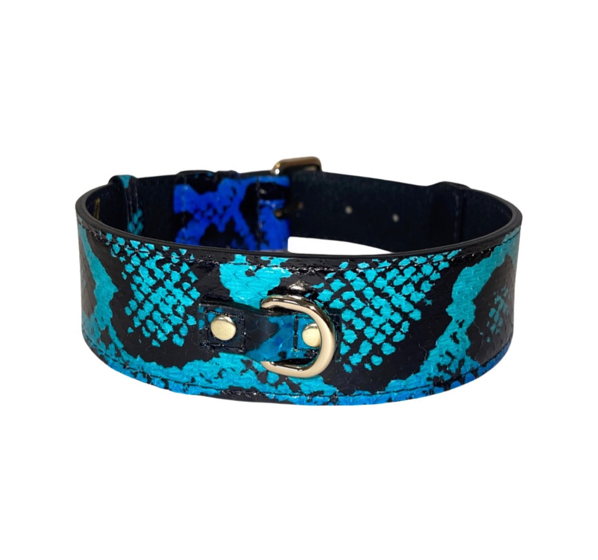 Black collar featuring electric turquoise and blue snake print pattern with gold D-ring and buckle hardware, shown in a circular curve on white background.