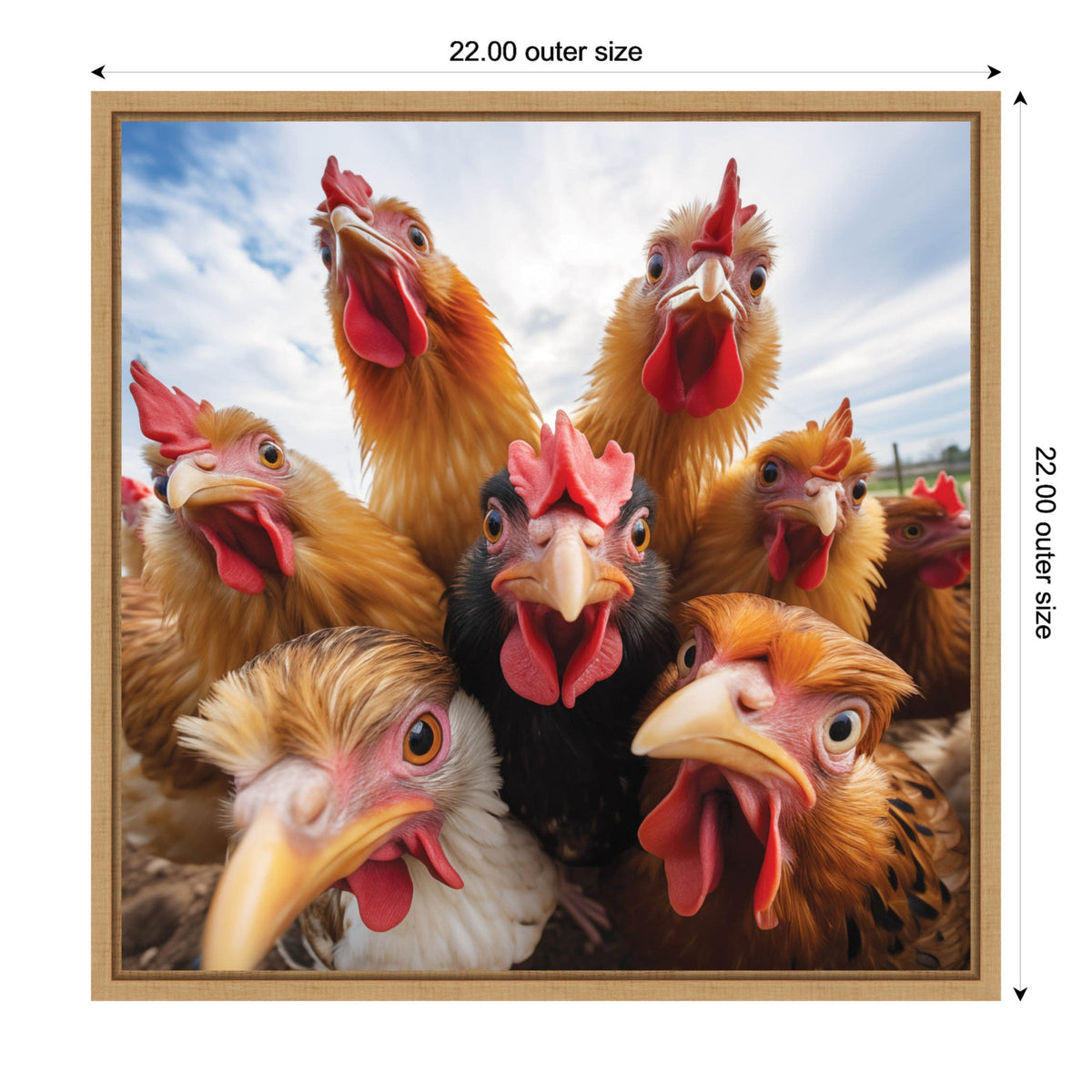 Close-up of seven chickens with red combs and wattles crowded together under a blue sky with wispy clouds, framed in a square with 22-inch outer size markings.