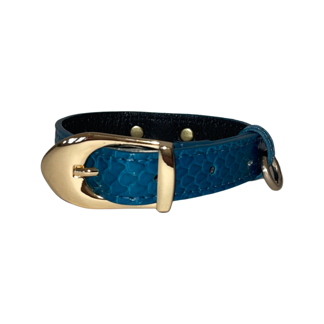Dark turquoise small dog collar with gold hardware