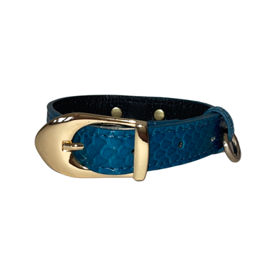 Dark turquoise small dog collar with gold hardware