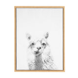 Framed black-and-white canvas print of a close-up alpaca head with detailed textured wool and soft shading on a white background.