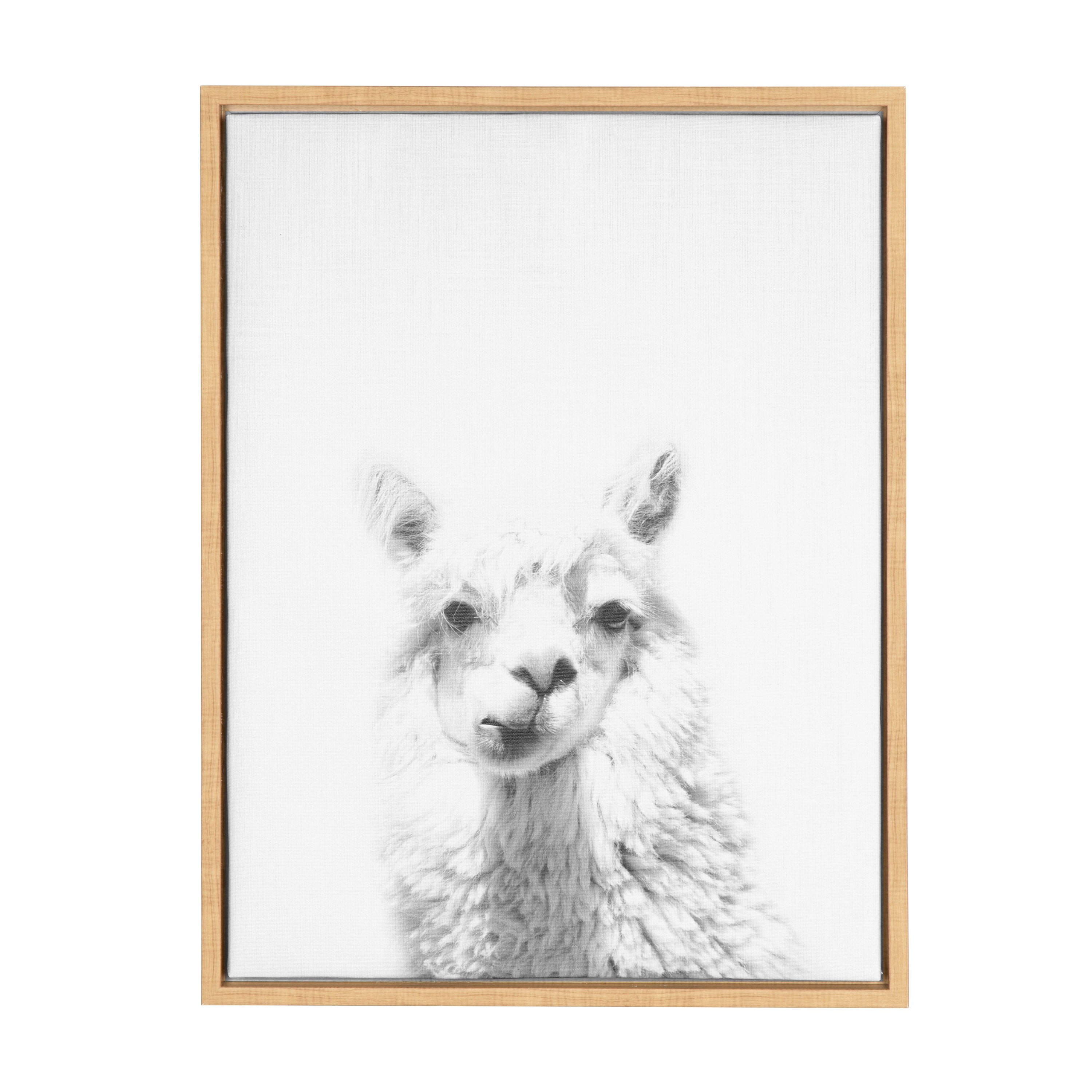 Sylvie Alpaca Framed Canvas by Simon Te of Tai Prints