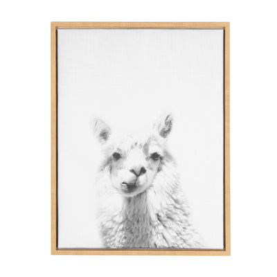 Sylvie Alpaca Framed Canvas by Simon Te of Tai Prints