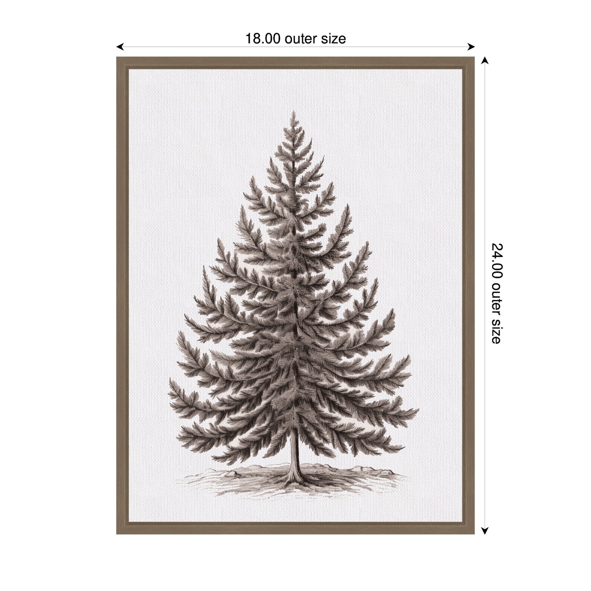 Sylvie Framed Canvas Vintage Evergreen Fir Tree Illustration I
