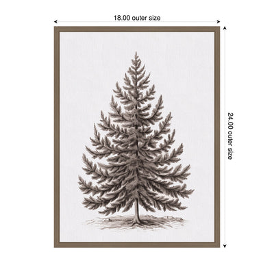 Sylvie Framed Canvas Vintage Evergreen Fir Tree Illustration I
