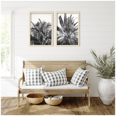 Palm No.
13 & 15 2 Piece Framed Wall Art Print Set by Alicia Bock