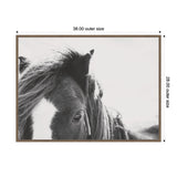 Black and white close-up photo of a horse's head featuring a white blaze and tousled mane against a soft background, framed in light wood.