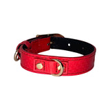 Dark orange small dog collar with snake pattern texture, featuring custom gold Italian hardware, shown partially coiled on white background.
