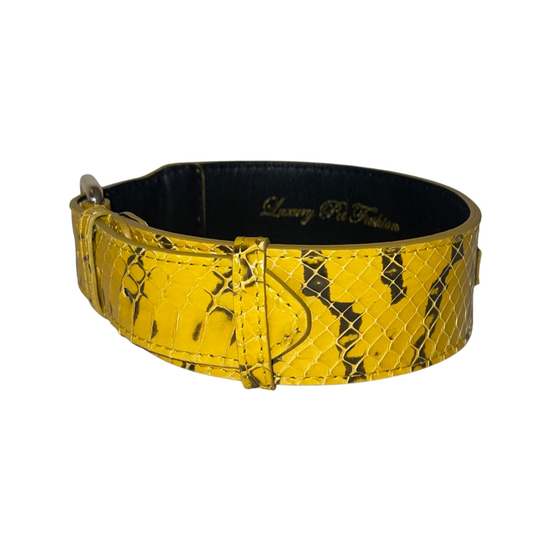Mustard yellow dog collar with black snake pattern and textured scales, featuring a metal buckle and stitched detailing on a black inner lining.