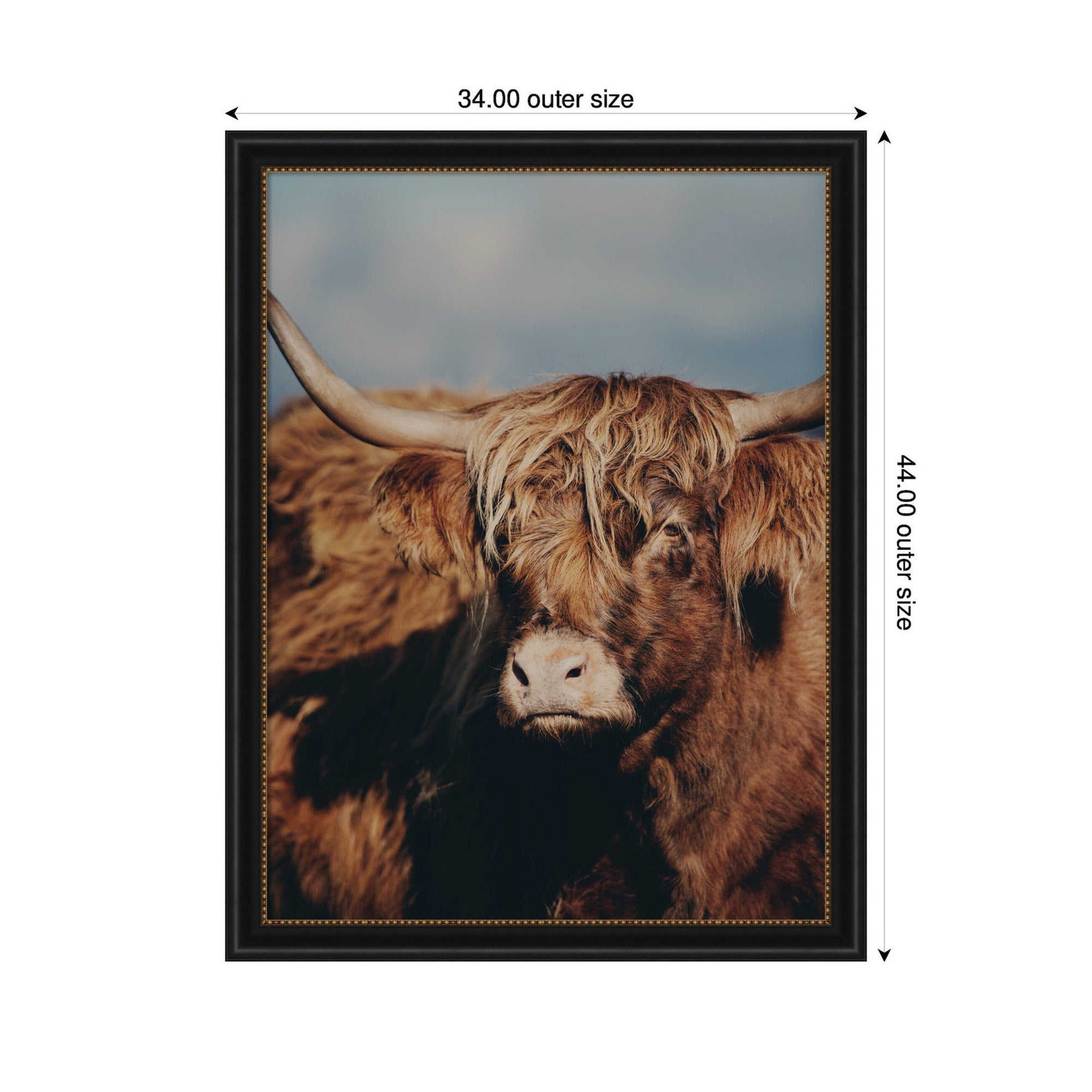 Highland Cow No.
5 by Laura Evans Framed Wall Art Print
