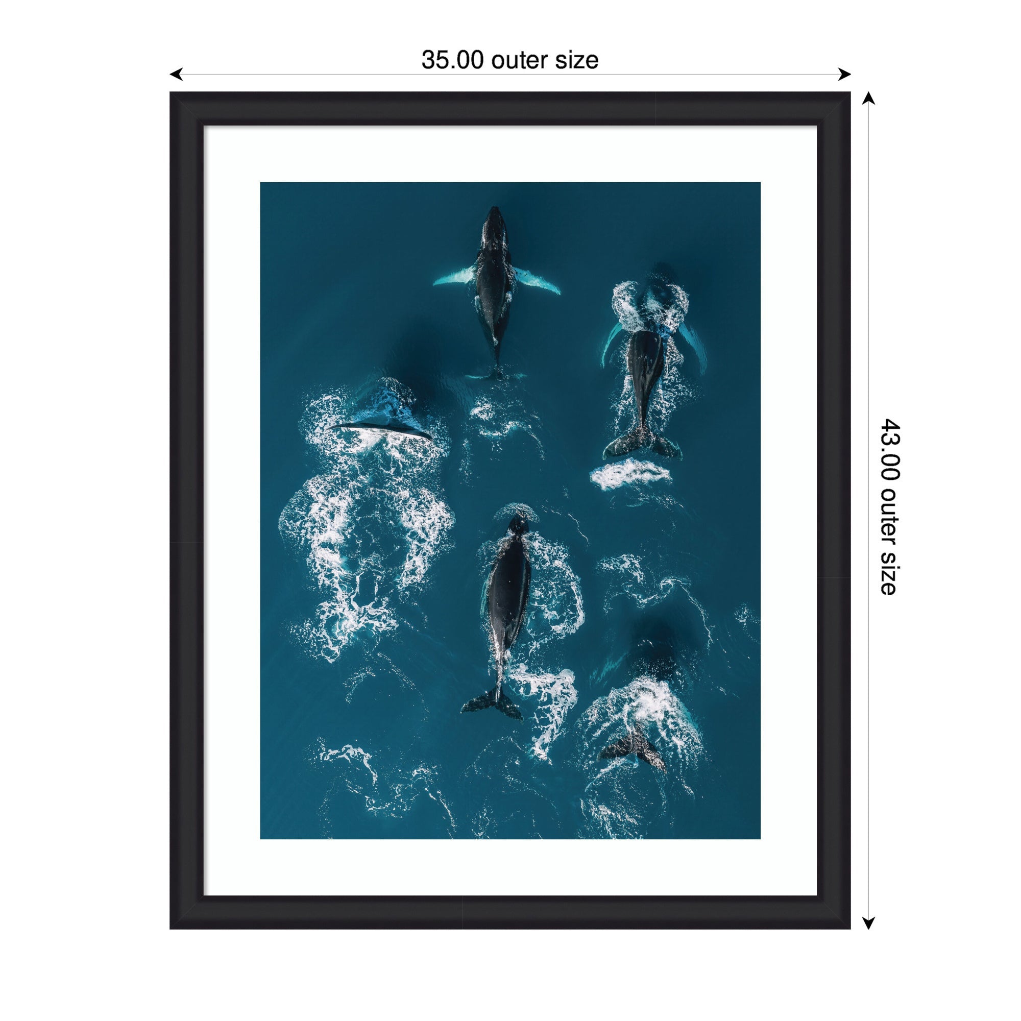 Framed Art School of Humpback Whales in the Blue Ocean by Michael Schauer